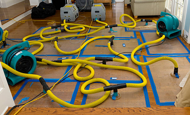 Professional Burst Pipe Water Damage technician working in Baldwin, GA